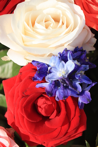 Red white and blue wedding flowers for a patriotic themed wedding