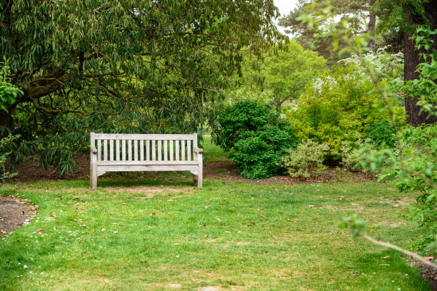 istock Empty wooden bench by a tree in public park in spring 1309154959