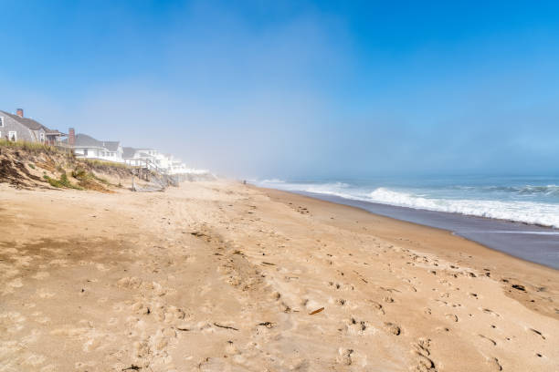 istock People strolling along a beautiful sandy beach on a misty autumn morning 1309155055
