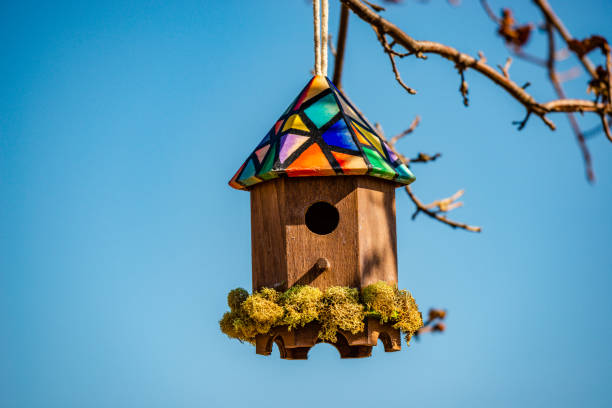 istock Birdhouse on the branch 1309158406