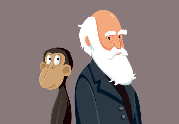 查理斯達爾文有趣的卡通插圖 - 猴子 圖片 幅插畫檔、美工圖案、卡通及圖標