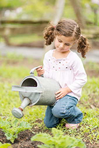 An adorable girl is watering the plants in her garden. She is using gardening gloves to hold the watering can.
