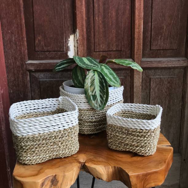 istock Seagrass Handycraft Handmade Product 1309167352