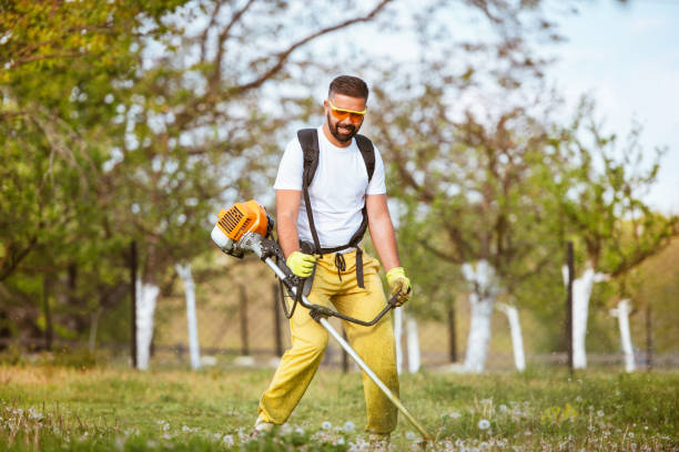 A man mows the thick grass with a gasoline trimmer. The lawn mower's work.