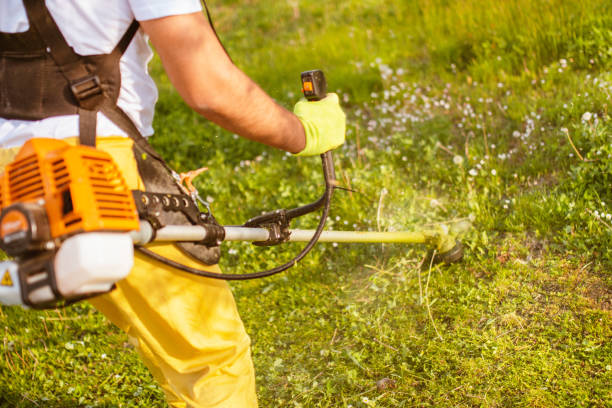 istock A man mows the thick grass with a gasoline trimmer 1309167774