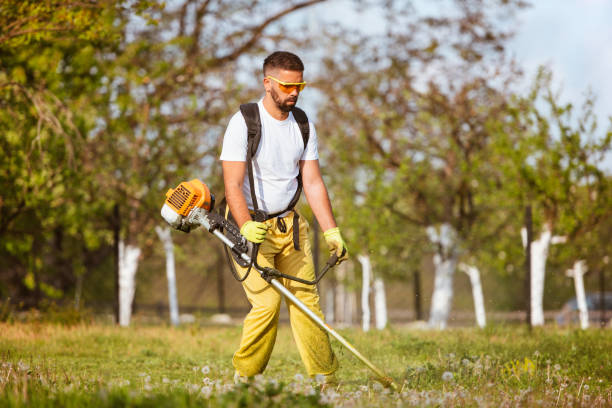 istock A man mows the thick grass with a gasoline trimmer 1309167898