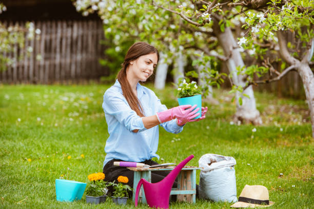 istock Young woman replanting plants 1309168025
