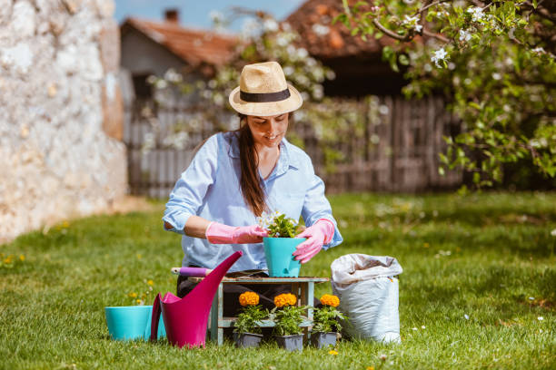 istock Young woman replanting plants 1309171401
