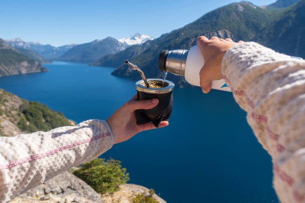 Argentine Mate Enjoying the landscape and the Argentine national drink. The mate with yerba. argentinian culture stock pictures, royalty-free photos & images