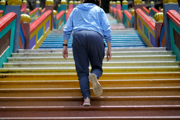 istock Local Tourism - Batu Caves 1309182120