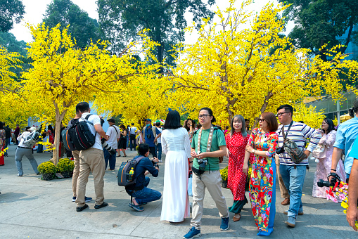 Ho Chi Minh City, Vietnam - February 5th, 2021: People focus photograph below buried golden apricot trees unique morning colors of spring of festivals Lunar New Year in Ho Chi Minh city , Vietnam