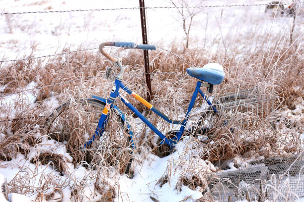 A blue vintge bicycle is resting against a barbed wire fence in a snowy winter garden.