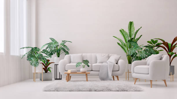 istock Living room interior with plant.white sofa and armchair.3d rendering 1309200809