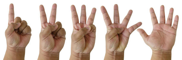 istock Set of man hands showing figures, count one, two, three, four, five. Isolated at white background. With clipping path. 1309204825
