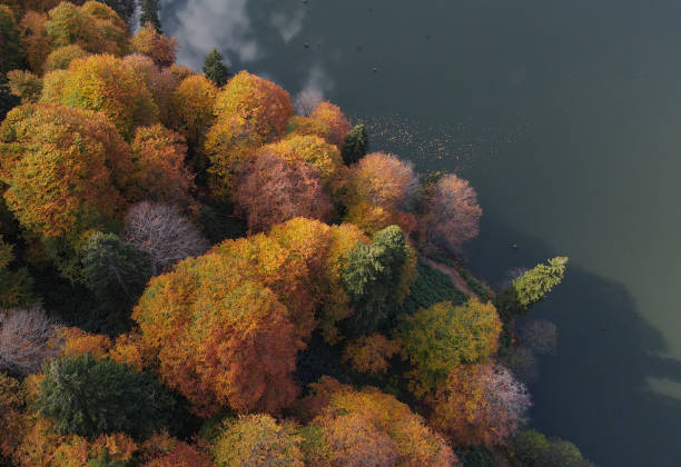 istock Autumn Season Aerial View Artvin 1309206268