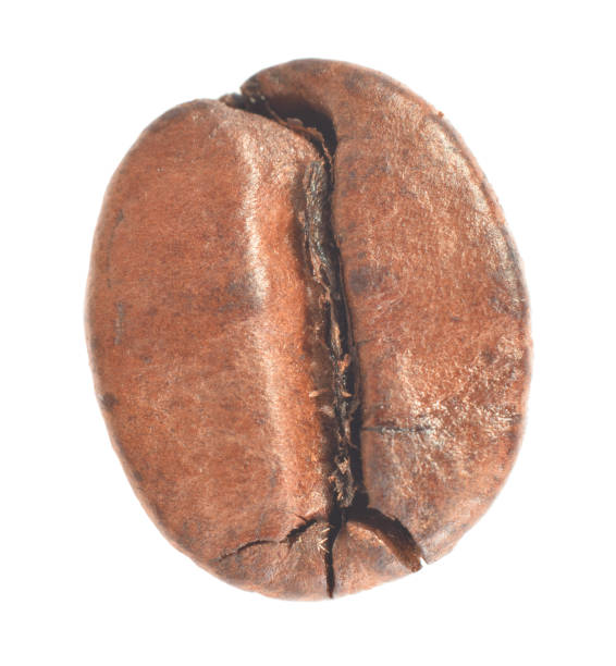 istock Roasted brown coffee bean half closed up isolated on white 1309207250