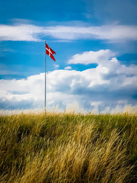 danish flag on a field - danish flag imagens e fotografias de stock