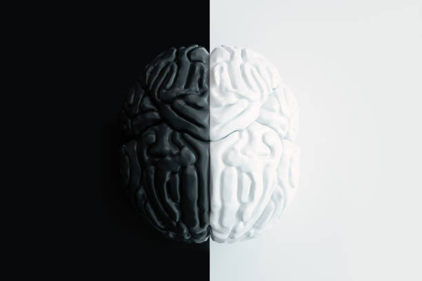 istock Top View Of Black And White Colored Brain Model On Black And White Colored Background. 1309208998