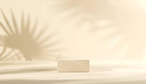 istock Minimal podium background for product presentation. Leaf shadow on white plaster wall. 1309209610