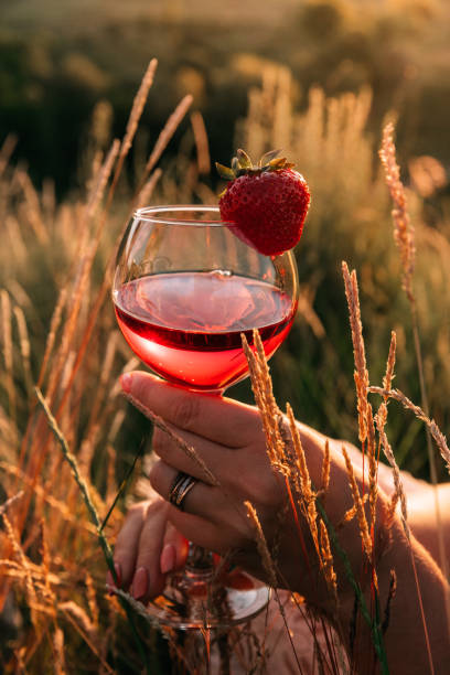 outdoor picnic in summer sunset. the sun are reflected in the rose wine glass. the border is decorated strawberries. - rose rosé women valentines day imagens e fotografias de stock