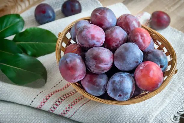 Photo of Large ripe plums in a wicker basket.