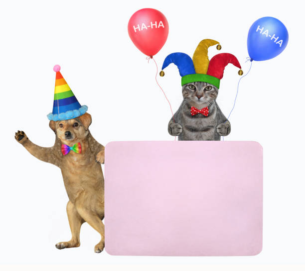 istock Pets clowns near pink blank poster 1309209973