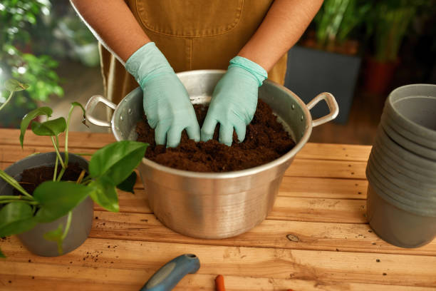 istock Gardener work in home garden with earth 1309210910