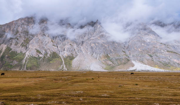 istock Morning cloudy mountains and meadows 1309212941