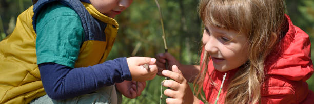 istock Children study the environment in the forest. A boy holding a lizard in his hand 1309216131