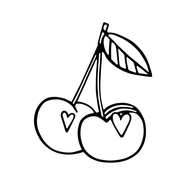 tatlı kiraz. kalpli iki sevimli meyve. yapraklı kiraz meyvesi. doodle tarzında elle çizilmiş vektör illüstrasyon, izole. bir aşk ilanı. sevgililer günü için kartlar, posterler, ç ıkartmalar için. - cherry valentine stock illustrations