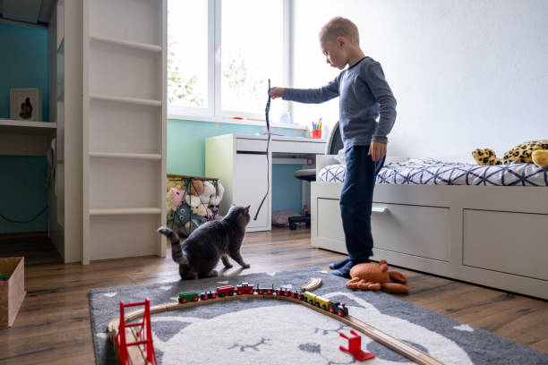 istock Little boy playing with his Cat at Home 1309217221