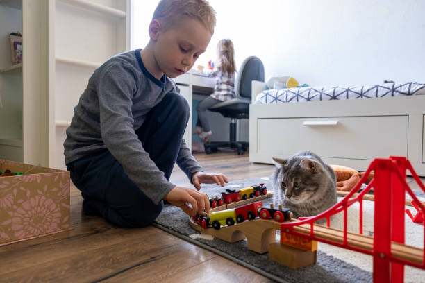 istock Little boy playing with a wooden train and his Cat 1309217242