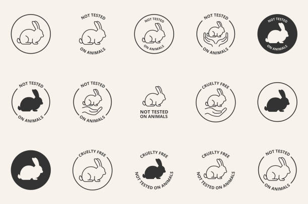 illustrations, cliparts, dessins animés et icônes de cruelty free non testé sur les icônes animaux ensemble - lapin animal