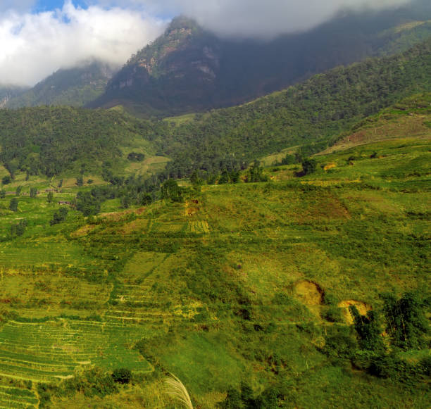 istock village rice paddy farm 1309220051