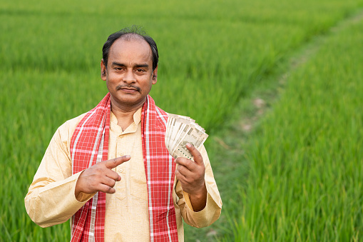 Outdoor Portrait of Asian/ Indian Farmer holding Indian Rupee notes in middle of green Crops.