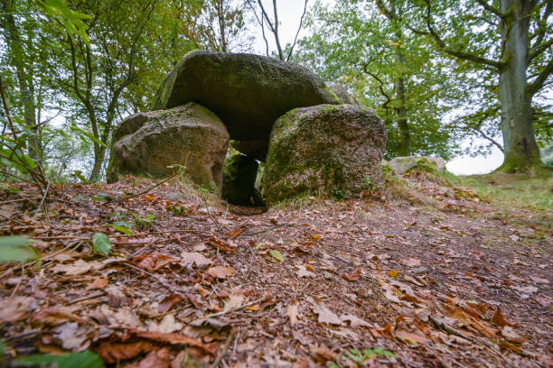 tombeau mégalithique préhistorique ou dolmen dans la forêt de klein görnow, sternberg, allemagne, une tombe de passage excavée et reconstruite dans un monticule rond de pierre roulante avec des pierres de soutien et de grandes pierres de chapeau, espa - grave dolmen tomb cemetery photos et images de collection