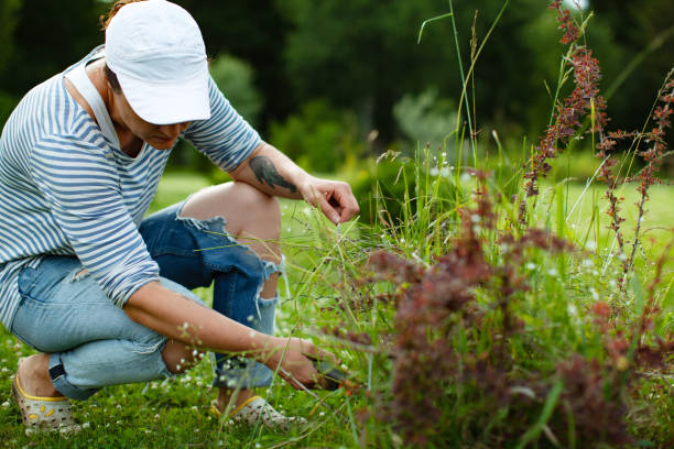 istock Smiling woman cutting longer branches to make perfect shape. Pruning concept 1309224841