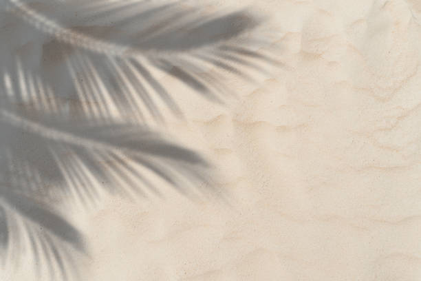 istock Copy space of shadow palm leaf on sand beach texture background. Summer vacation and holiday relax concept. 1309224996