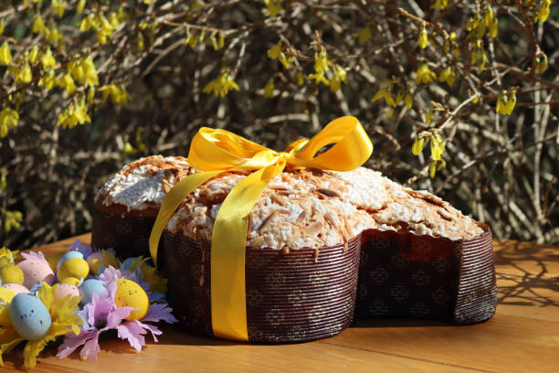 Sweet Easter cake called Colomba Pasquale on a wooden table with Forsythia flowers Sweet Easter cake called Colomba Pasquale on a wooden table with yellow Forsythia flowers background forsythia garden stock pictures, royalty-free photos & images
