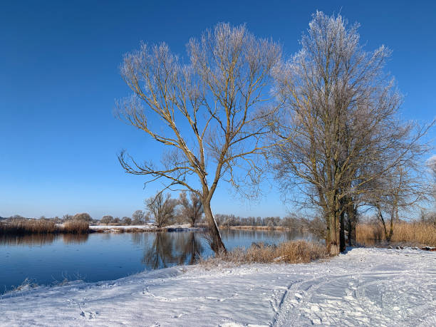 istock Winter landscape on river with hoarfrost in trees. 1309232090