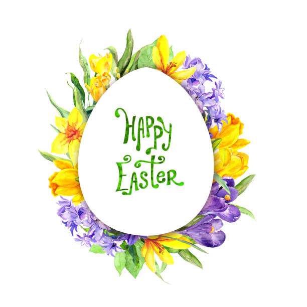 ilustraciones, imágenes clip art, dibujos animados e iconos de stock de huevo de pascua - flores de primavera - tulipán, jacinto, azafrán. marco floral de acuarela con forma de huevo - easter flower purple frame