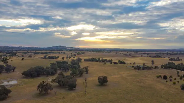 Photo of Farm Landscape at Table Top near Albury, NSW