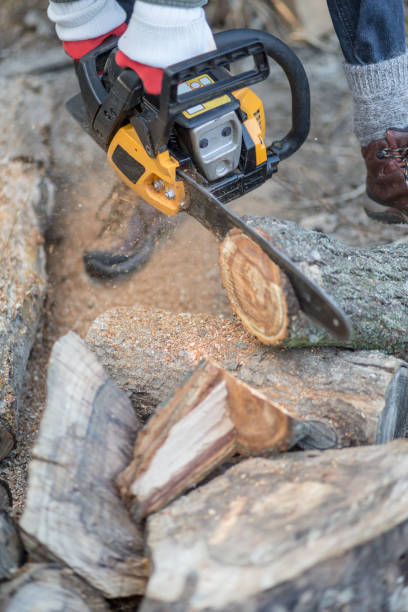 istock oung woman with a chainsaw 1309237032