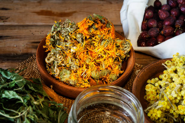 istock natural herbal Infusion ingredients 1309237240