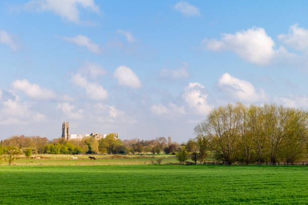 istock Wheat field with view of ancient minster on horizon on spring morning. Beverley, UK. 1309240841