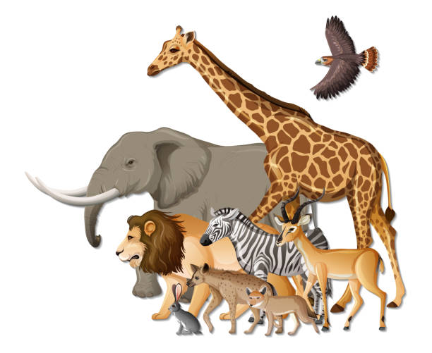 istock Group of wild African animals on white background 1309242699