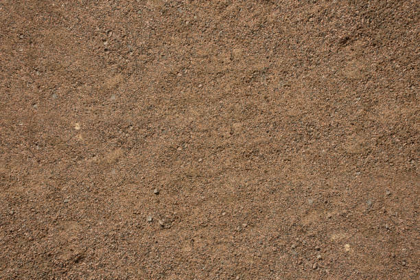 istock Texture of dry sand , top view 1309243534