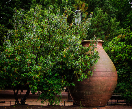 old wine jar used for making wine. Next to some trees