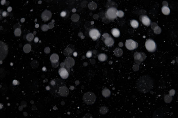 istock Falling snow out of focus on the black background. Design element for overlay. Snow layer for design 1309244196
