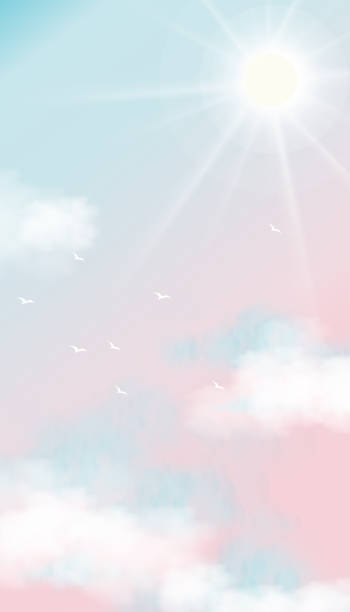 ilustrações, clipart, desenhos animados e ícones de céu em cor pastel rosa e azul, ilustração vetoria do céu com nuvens brancas fofas com sol brilhando, bandeira vertical de fundo natural para o conceito de férias de primavera ou verão - cloud horizon spring summer